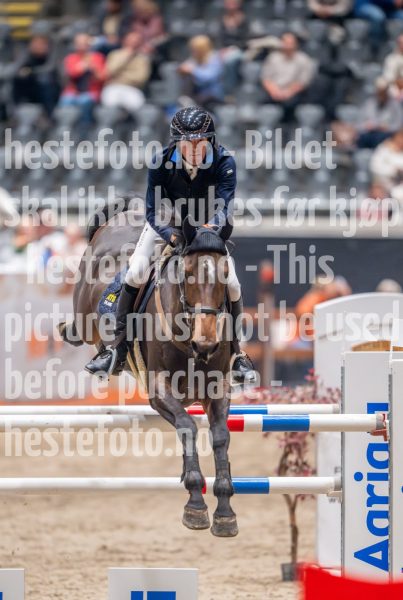 20241018-212540-2024-10-18-21-25-40-32-NIKON-Z-9