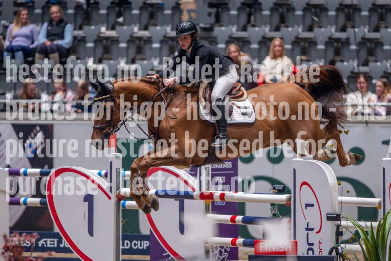20241018-212643-2024-10-18-21-26-44-95-NIKON-Z-9