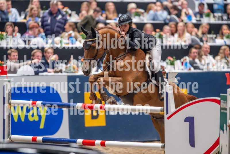 20241018-212648-2024-10-18-21-26-48-47-NIKON-Z-9