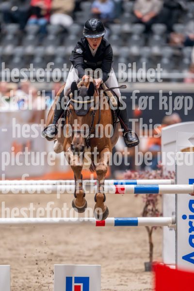20241018-212741-2024-10-18-21-27-42-75-NIKON-Z-9