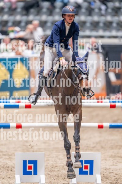 20241018-213152-2024-10-18-21-31-52-07-NIKON-Z-9
