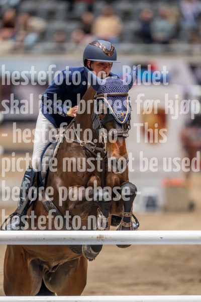 20241018-213154-2024-10-18-21-31-55-61-NIKON-Z-9