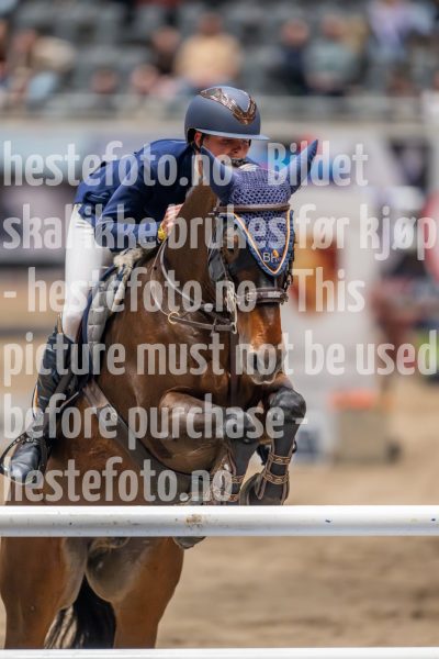 20241018-213154-2024-10-18-21-31-55-66-NIKON-Z-9