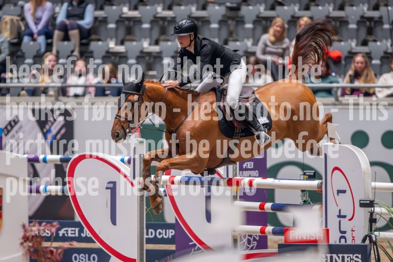 20241018-213256-2024-10-18-21-32-57-79-NIKON-Z-9