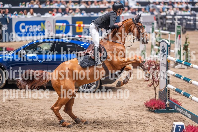 20241018-213305-2024-10-18-21-33-08-76-NIKON-Z-7