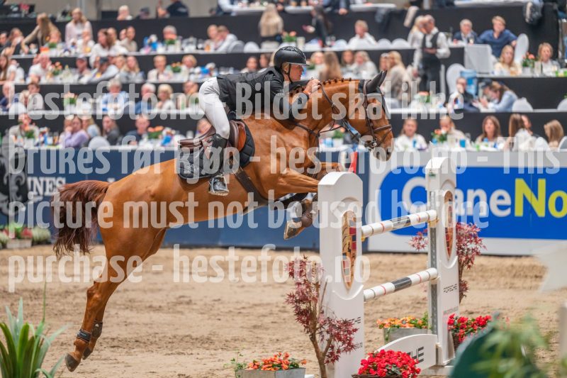 20241018-213321-2024-10-18-21-33-21-41-NIKON-Z-6-2
