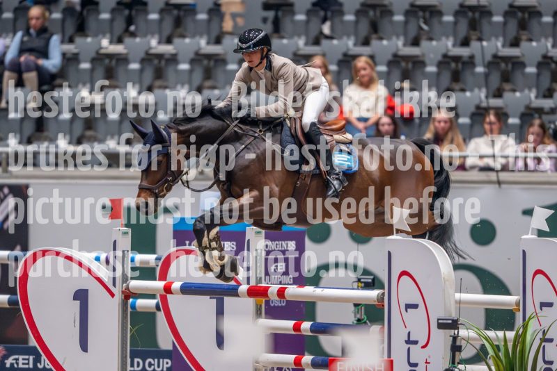 20241018-214122-2024-10-18-21-41-23-61-NIKON-Z-9