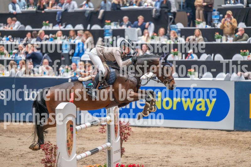 20241018-214148-2024-10-18-21-41-49-34-NIKON-Z-6-2