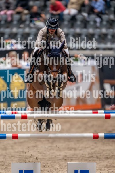 20241018-214221-2024-10-18-21-42-22-87-NIKON-Z-9