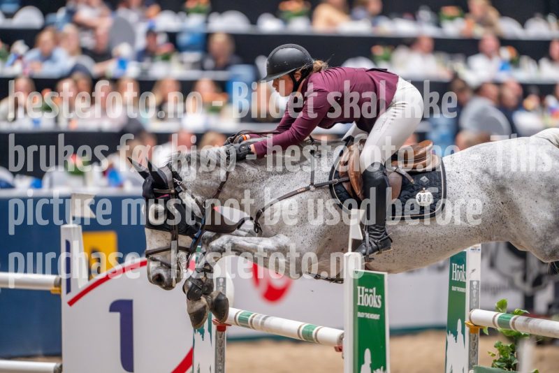 20241018-214601-2024-10-18-21-46-02-56-NIKON-Z-9