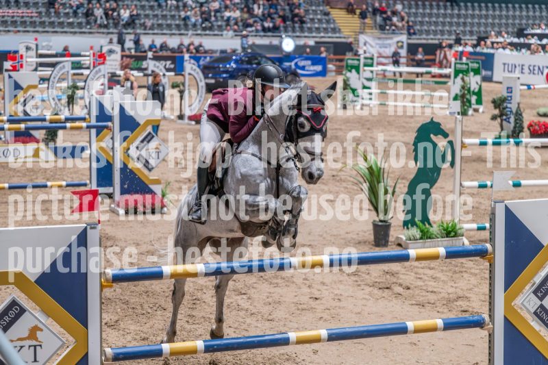 20241018-214623-2024-10-18-21-46-23-24-NIKON-Z-6-2