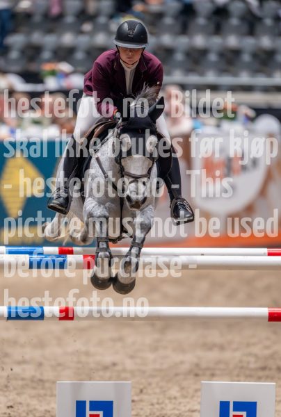 20241018-214626-2024-10-18-21-46-27-82-NIKON-Z-9