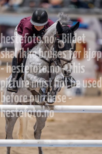 20241018-214629-2024-10-18-21-46-30-57-NIKON-Z-9
