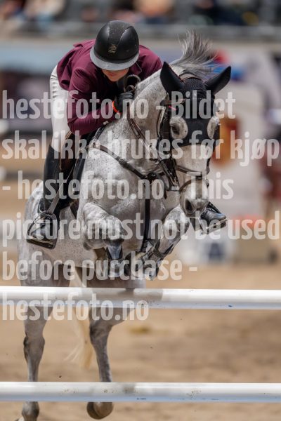 20241018-214629-2024-10-18-21-46-30-62-NIKON-Z-9