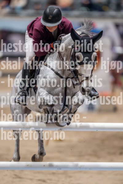 20241018-214629-2024-10-18-21-46-30-67-NIKON-Z-9
