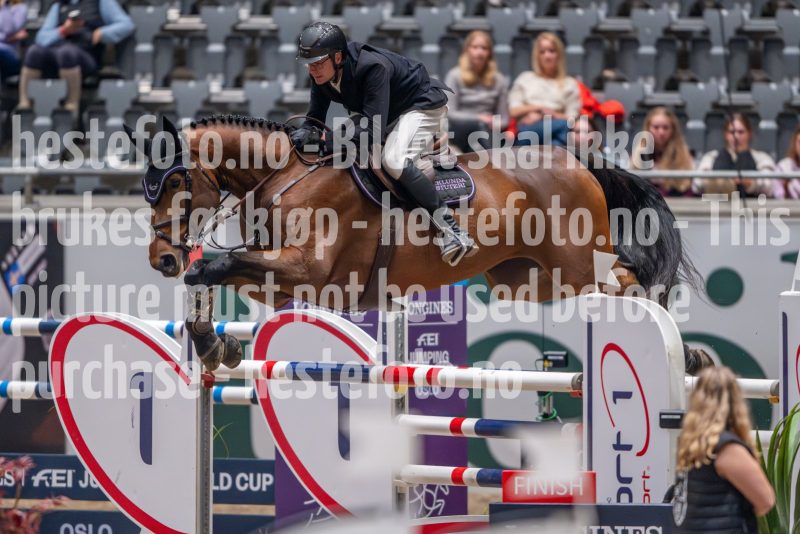 20241018-214742-2024-10-18-21-47-43-84-NIKON-Z-9