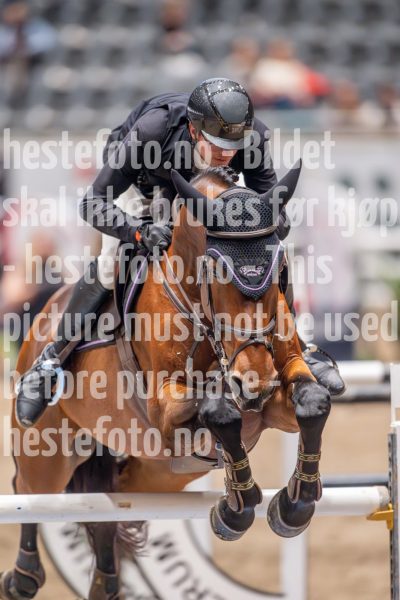 20241018-214845-2024-10-18-21-48-46-84-NIKON-Z-9