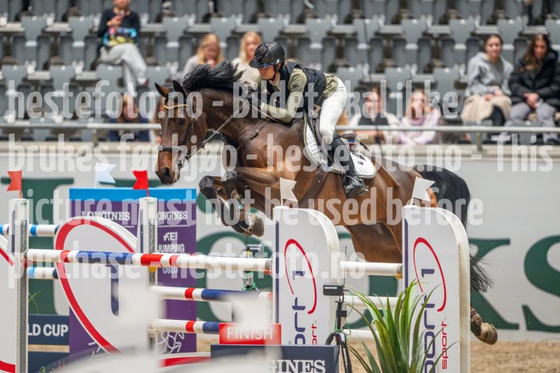 20241018-215346-2024-10-18-21-53-47-73-NIKON-Z-9