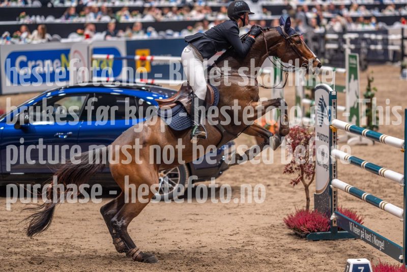 20241018-215546-2024-10-18-21-55-50-86-NIKON-Z-7