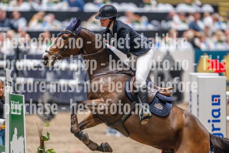 20241018-215609-2024-10-18-21-56-10-82-NIKON-Z-9