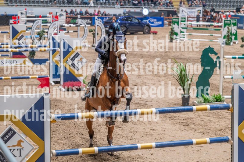 20241018-220425-2024-10-18-22-04-25-16-NIKON-Z-6-2