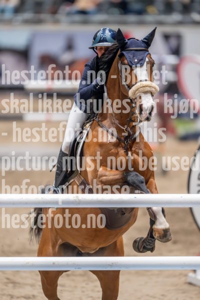 20241018-220431-2024-10-18-22-04-32-77-NIKON-Z-9