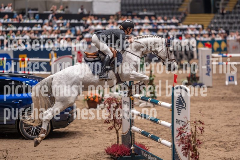 20241018-220835-2024-10-18-22-08-38-11-NIKON-Z-7