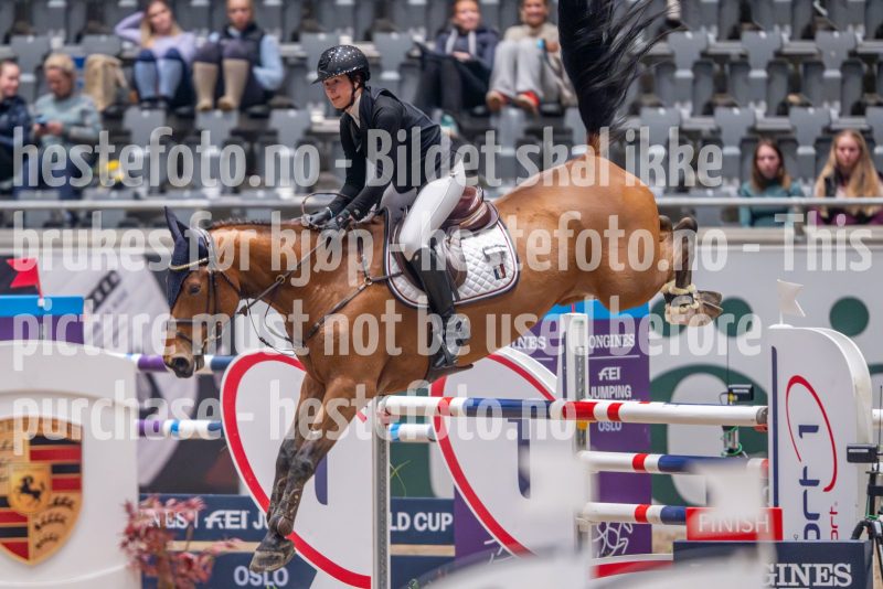 20241018-221151-2024-10-18-22-11-51-41-NIKON-Z-9