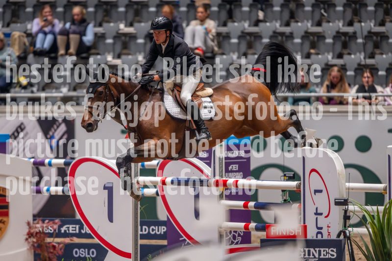 20241018-221603-2024-10-18-22-16-03-12-NIKON-Z-9