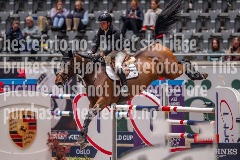 20241018-221603-2024-10-18-22-16-03-22-NIKON-Z-9