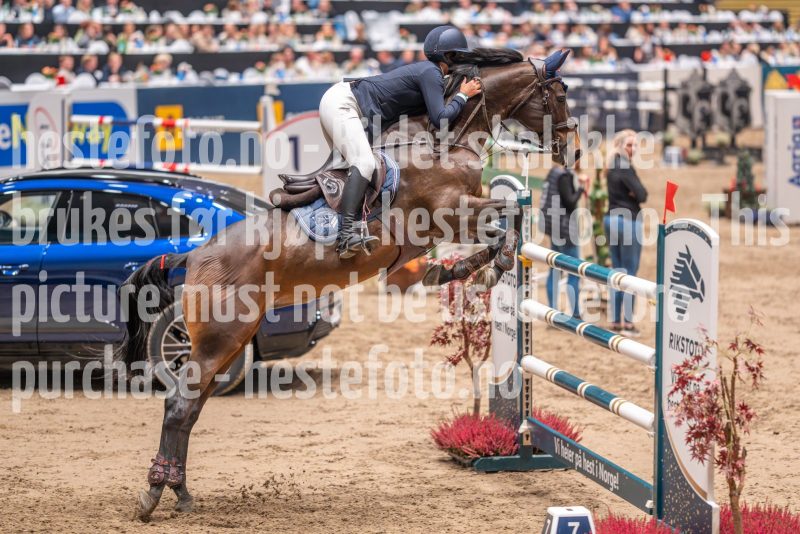 20241018-221805-2024-10-18-22-18-07-17-NIKON-Z-7