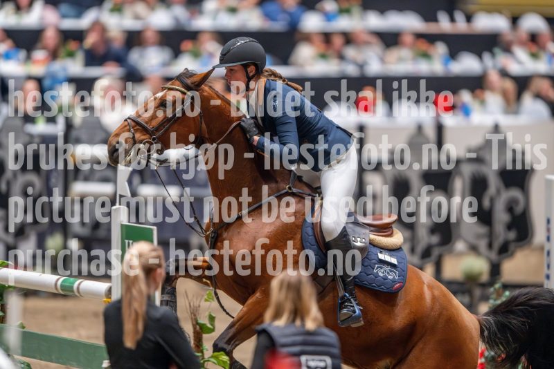 20241018-222046-2024-10-18-22-20-46-34-NIKON-Z-9