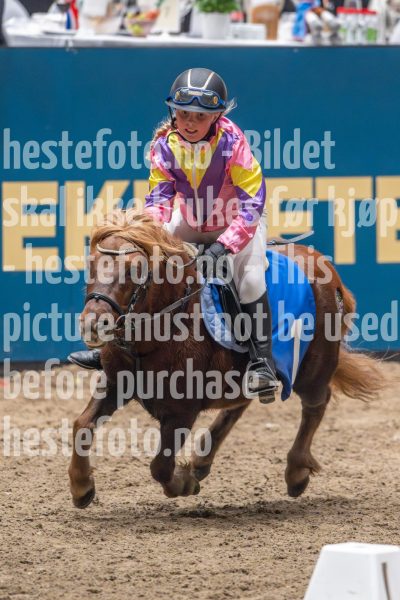 20241019-172147-2024-10-19-17-21-48-73-NIKON-Z-9