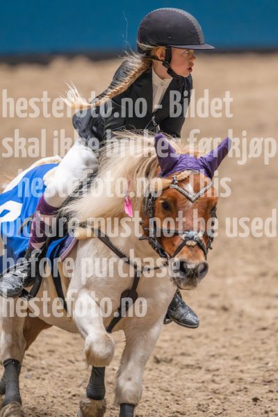 20241019-172831-2024-10-19-17-28-31-54-NIKON-Z-9