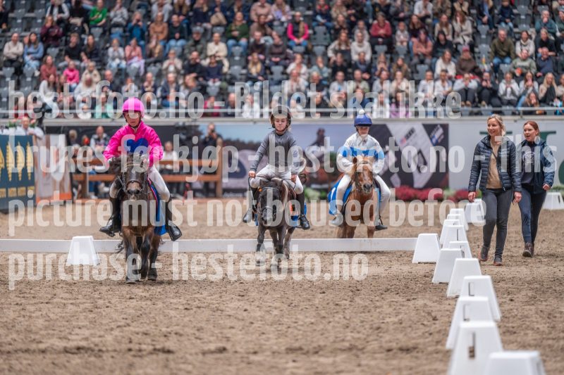 20241020-130926-2024-10-20-13-09-26-18-NIKON-Z-6-2