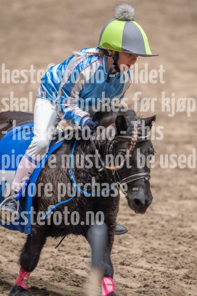 20241020-131045-2024-10-20-13-10-45-33-NIKON-Z-9