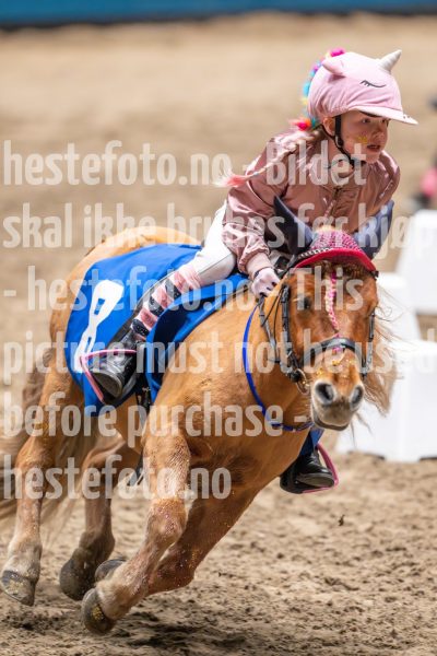 20241020-131105-2024-10-20-13-11-06-74-NIKON-Z-9