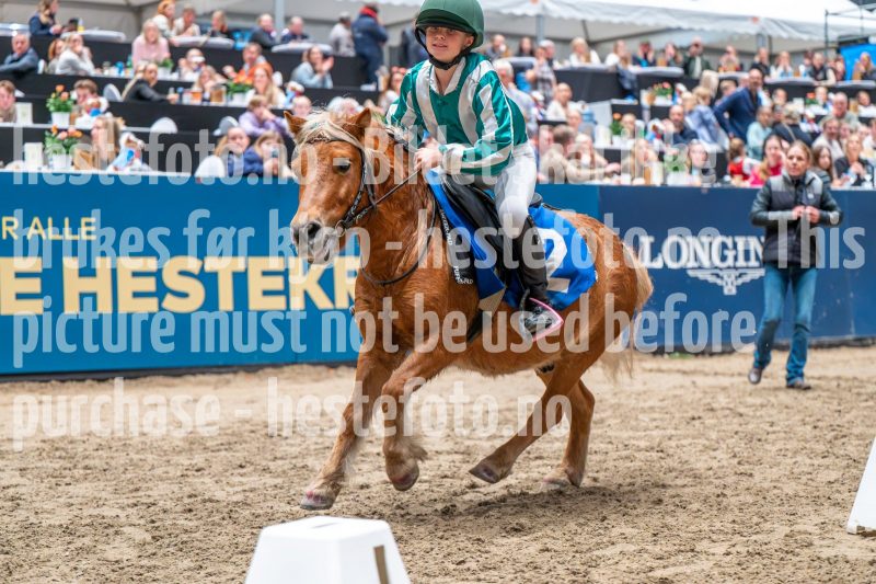 20241020-131455-2024-10-20-13-14-55-08-NIKON-Z-6-2