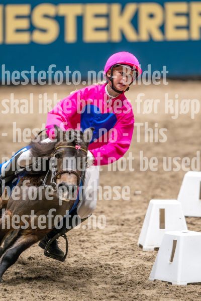 20241020-131510-2024-10-20-13-15-10-49-NIKON-Z-9