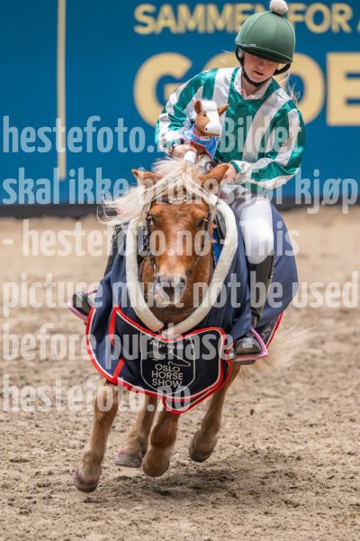 20241020-131849-2024-10-20-13-18-49-12-NIKON-Z-9
