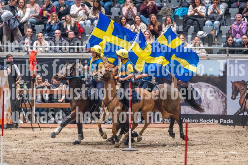 20241019-163510-2024-10-19-16-35-11-90-NIKON-Z-9