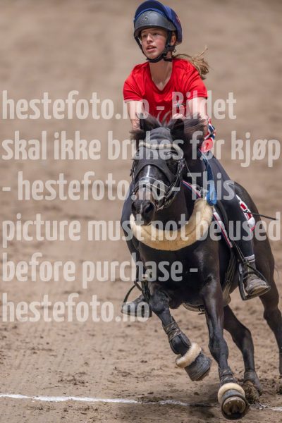 20241019-163803-2024-10-19-16-38-03-08-NIKON-Z-9