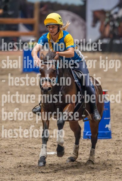 20241019-164227-2024-10-19-16-42-27-30-NIKON-Z-9