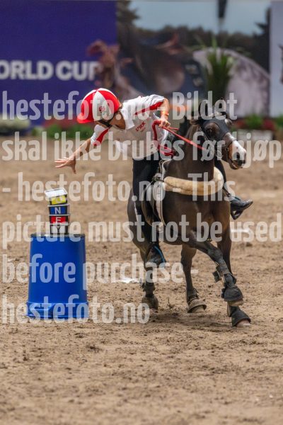 20241019-164250-2024-10-19-16-42-51-97-NIKON-Z-9