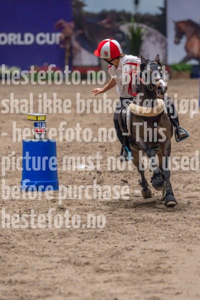 20241019-164251-2024-10-19-16-42-51-32-NIKON-Z-9