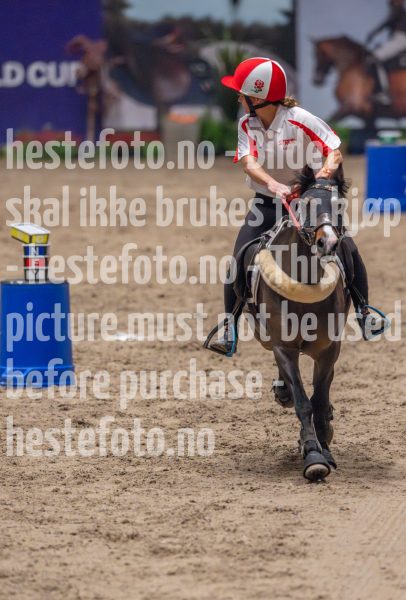 20241019-164251-2024-10-19-16-42-52-77-NIKON-Z-9