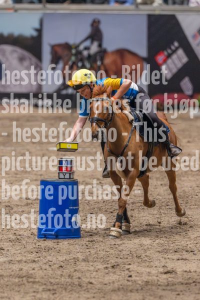 20241019-164306-2024-10-19-16-43-07-72-NIKON-Z-9