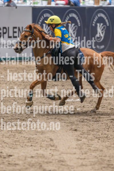 20241019-164332-2024-10-19-16-43-33-81-NIKON-Z-9