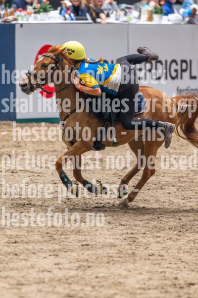 20241019-164333-2024-10-19-16-43-33-21-NIKON-Z-9