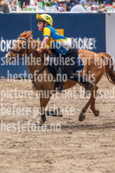 20241019-164333-2024-10-19-16-43-34-56-NIKON-Z-9